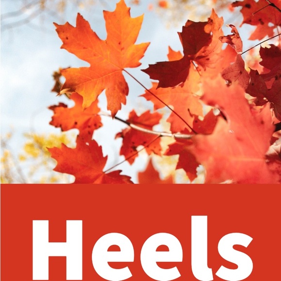 SHOES - Picture 4 of 5